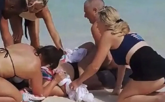 合影代价惨烈!加拿大游客近距离接触鲨鱼丧失双手